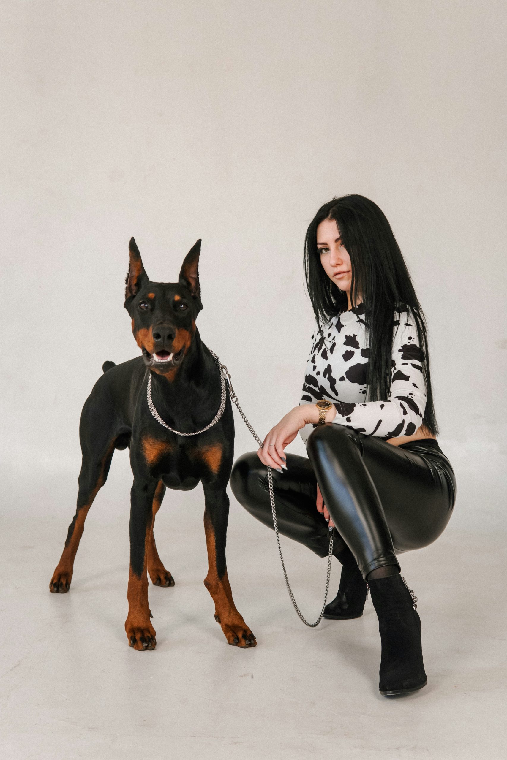 Doberman na vodítku