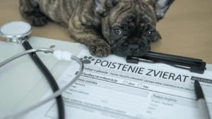 Poistenie psa formulár