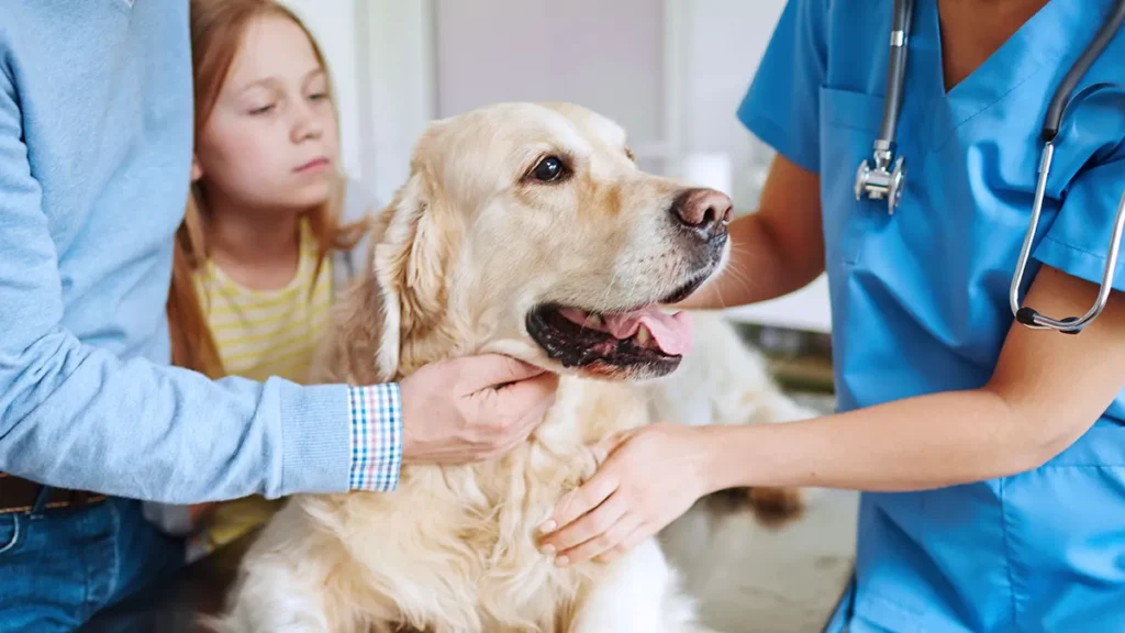 Rodina berie svojho psa k veterinárovi na prehliadku
