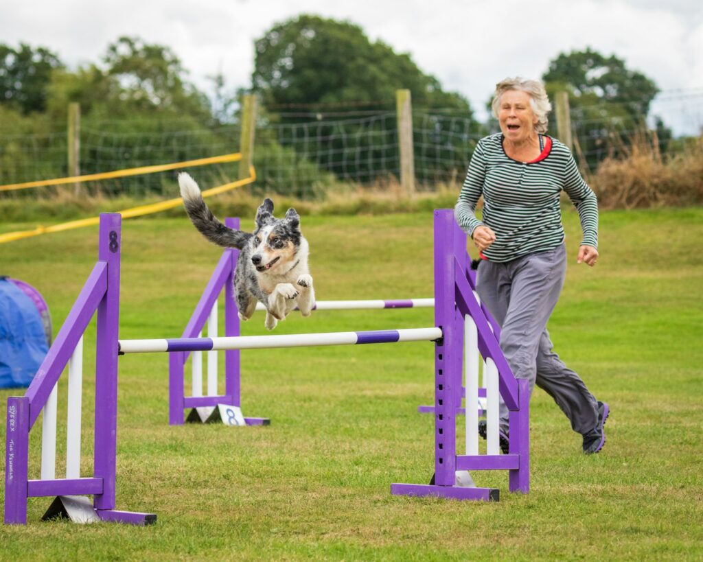 Žena so psom preskakujú prekážku na agility
