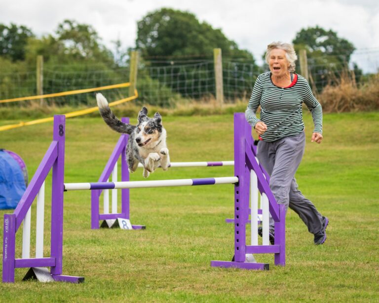 Žena so psom preskakujú prekážku na agility
