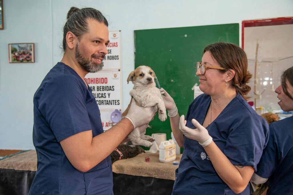 Majitelia so psom u veterinára