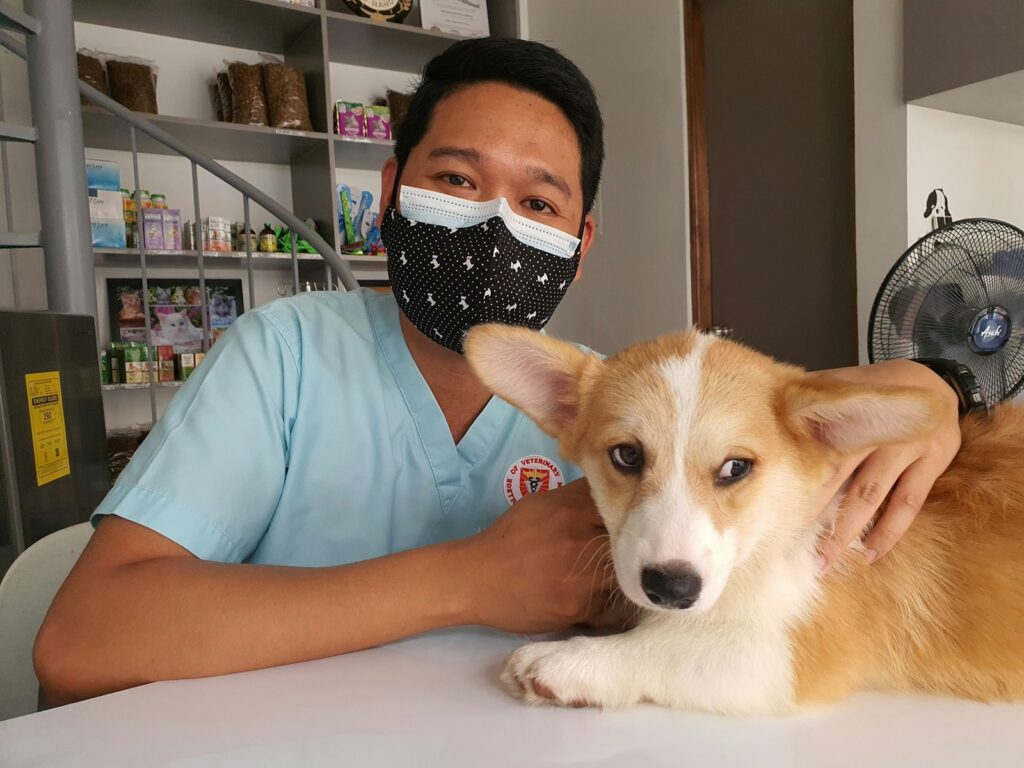Veterinár v rúšku so psom v ambulancii