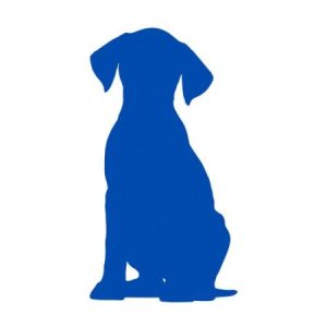 Profile photo of S R