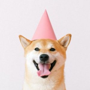 Group logo of Shiba