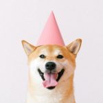 Group logo of Shiba